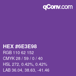 Color code: HEX #6E3E98 | qconv.com