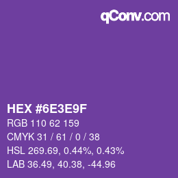 Color code: HEX #6E3E9F | qconv.com