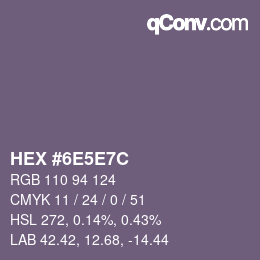 Color code: HEX #6E5E7C | qconv.com
