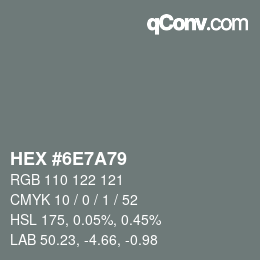 カラーコード: HEX #6E7A79 | qconv.com