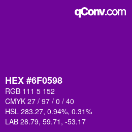 カラーコード: HEX #6F0598 | qconv.com