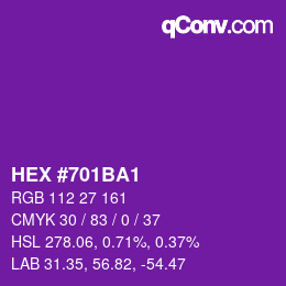 Color code: HEX #701BA1 | qconv.com