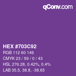 Color code: HEX #703C92 | qconv.com