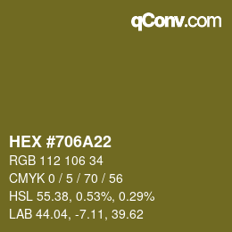 颜色代码: HEX #706A22 | qconv.com