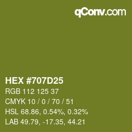 Color code: HEX #707D25 | qconv.com