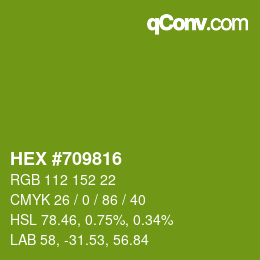 カラーコード: HEX #709816 | qconv.com