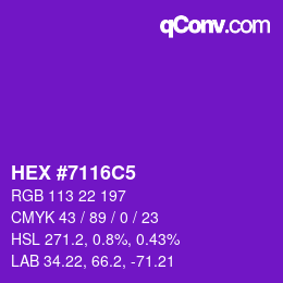 Color code: HEX #7116C5 | qconv.com