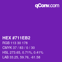 Color code: HEX #711EB2 | qconv.com - big