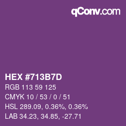 Color code: HEX #713B7D | qconv.com