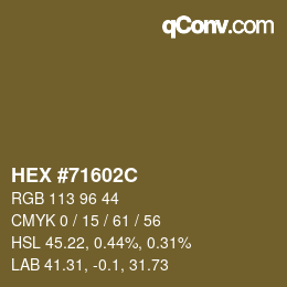 Farbcode: HEX #71602C | qconv.com
