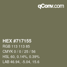 Código de color: HEX #717155 | qconv.com
