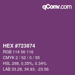 Color code: HEX #723874 | qconv.com