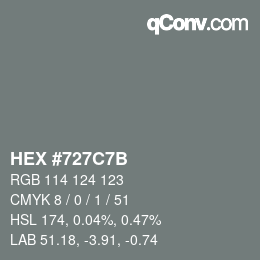 Color code: HEX #727C7B | qconv.com