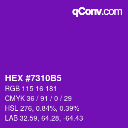 Color code: HEX #7310B5 | qconv.com