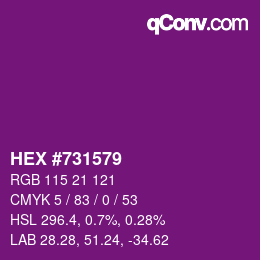 Farbcode: HEX #731579 | qconv.com