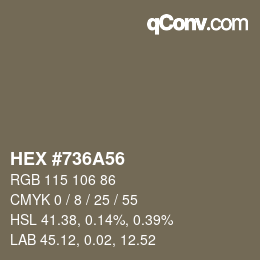 Color code: HEX #736A56 | qconv.com