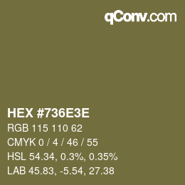Color code: HEX #736E3E | qconv.com