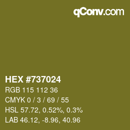 Color code: HEX #737024 | qconv.com