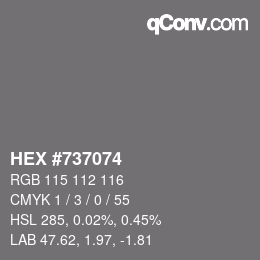 Color code: HEX #737074 | qconv.com