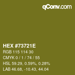 カラーコード: HEX #73721E | qconv.com