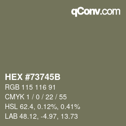 Color code: HEX #73745B | qconv.com