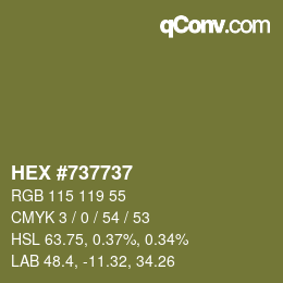 Color code: HEX #737737 | qconv.com