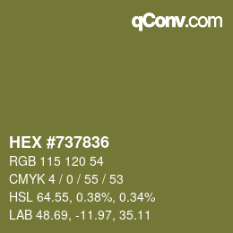 Color code: HEX #737836 | qconv.com