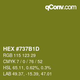 Color code: HEX #737B1D | qconv.com