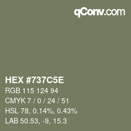 Farbcode: HEX #737C5E | qconv.com