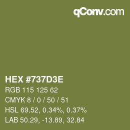 Color code: HEX #737D3E | qconv.com