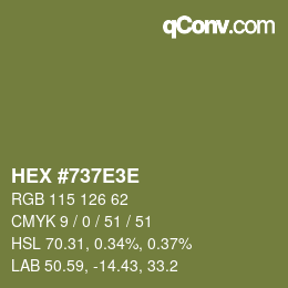 Color code: HEX #737E3E | qconv.com