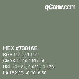 Color code: HEX #73816E | qconv.com