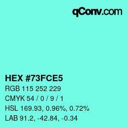 Color code: HEX #73FCE5 | qconv.com