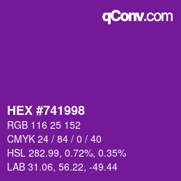 Color code: HEX #741998 | qconv.com