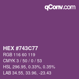 Color code: HEX #743C77 | qconv.com