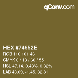 Color code: HEX #74652E | qconv.com