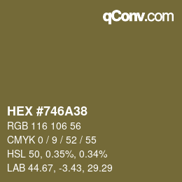 Farbcode: HEX #746A38 | qconv.com