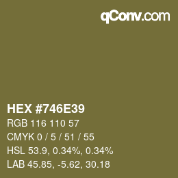 Farbcode: HEX #746E39 | qconv.com