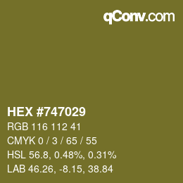 カラーコード: HEX #747029 | qconv.com