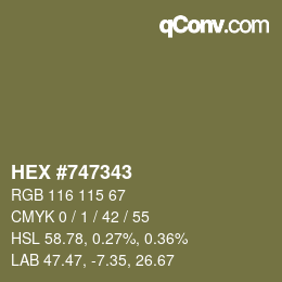 Color code: HEX #747343 | qconv.com