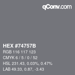 Color code: HEX #74757B | qconv.com