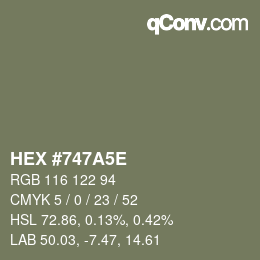 Color code: HEX #747A5E | qconv.com