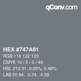 カラーコード: HEX #747A81 | qconv.com