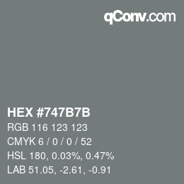 颜色代码: HEX #747B7B | qconv.com