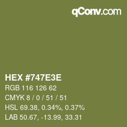 Color code: HEX #747E3E | qconv.com