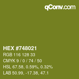 颜色代码: HEX #748021 | qconv.com
