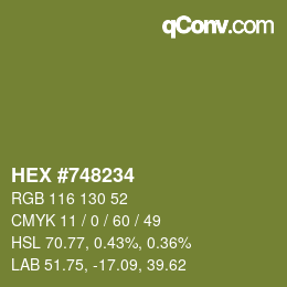 Color code: HEX #748234 | qconv.com