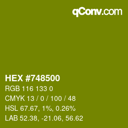 颜色代码: HEX #748500 | qconv.com