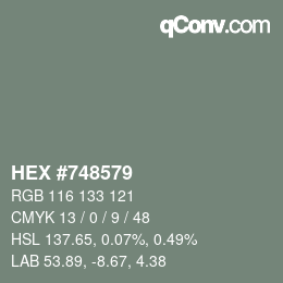 Color code: HEX #748579 | qconv.com