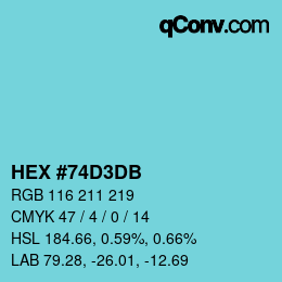 Color code: HEX #74D3DB | qconv.com